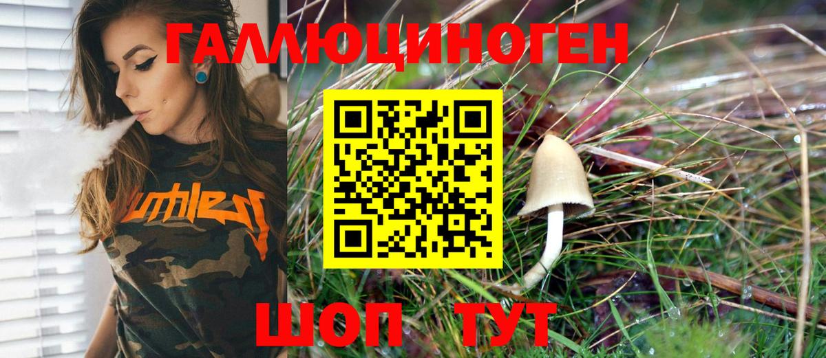 Галлюциногенные грибы MAGIC MUSHROOMS Гусев